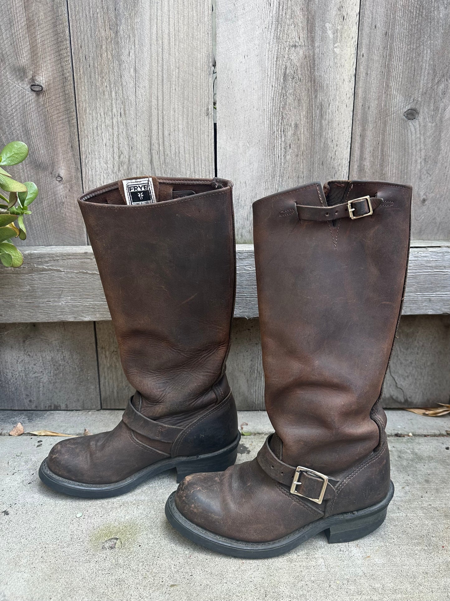 Frye Brown Leather Moto Boots