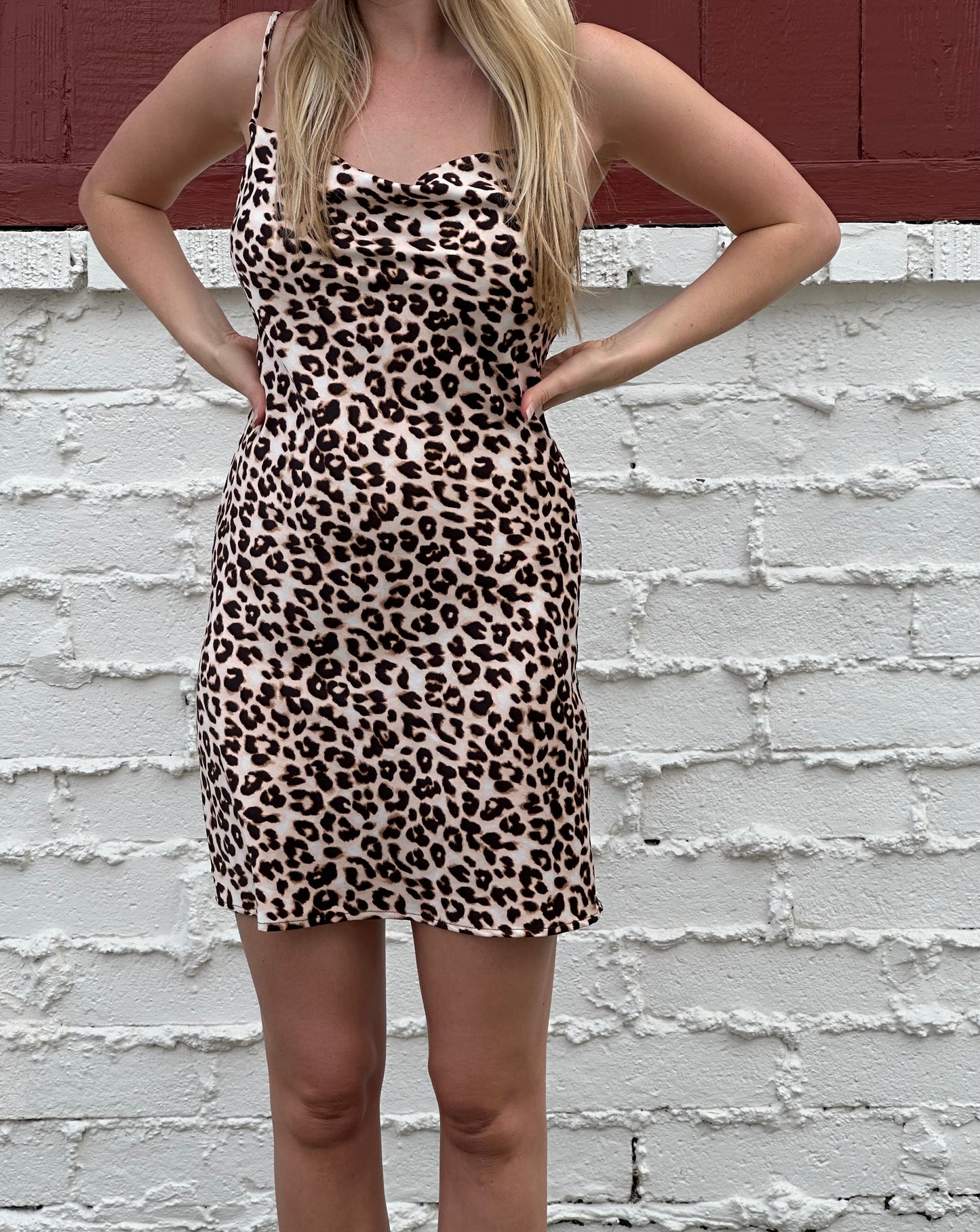 Leopard Print Dress