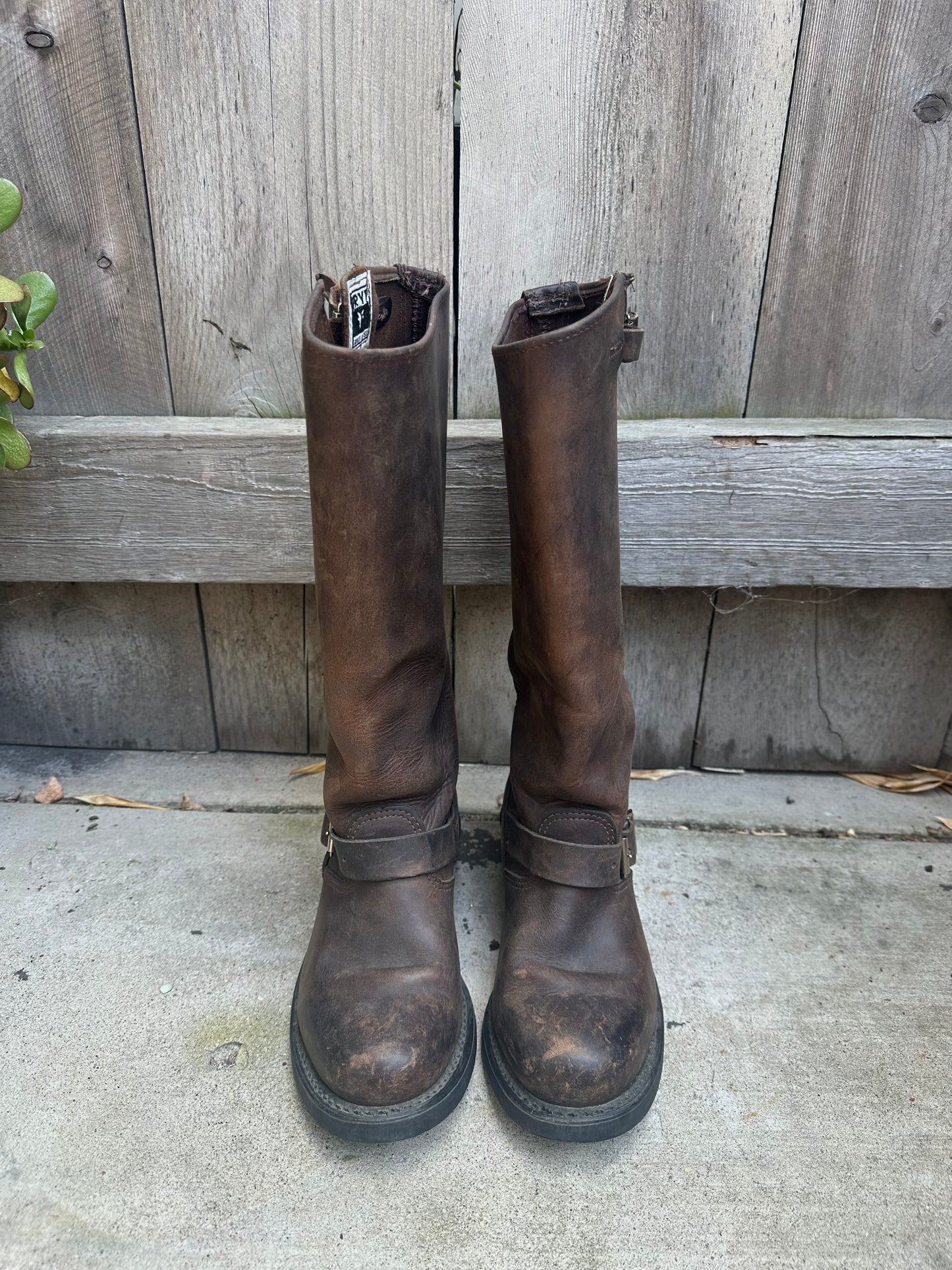 Frye Brown Leather Moto Boots